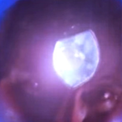 Digital Marmoset - Biomodz (Free DL)