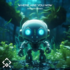 Jack Ü - Where Are You now (ANTMTR Remix)