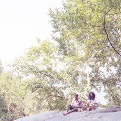 Dj Foresta Aka Fabio Fabio Present Paesaggio Spezzatino Porcino Mixtape