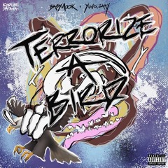 1YungZaay X Baby Mook - Terrorize A Bird