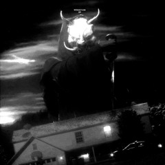 screaming quiet w/KNGY (Interval Audio)