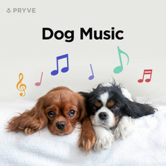 Dog Music