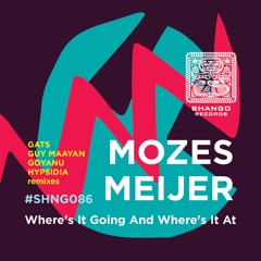 Mozes Meijer - Where's It Going And Where's It At (Goyanu Edit)