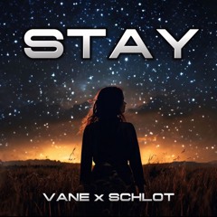 Stay - vANE x Schlot