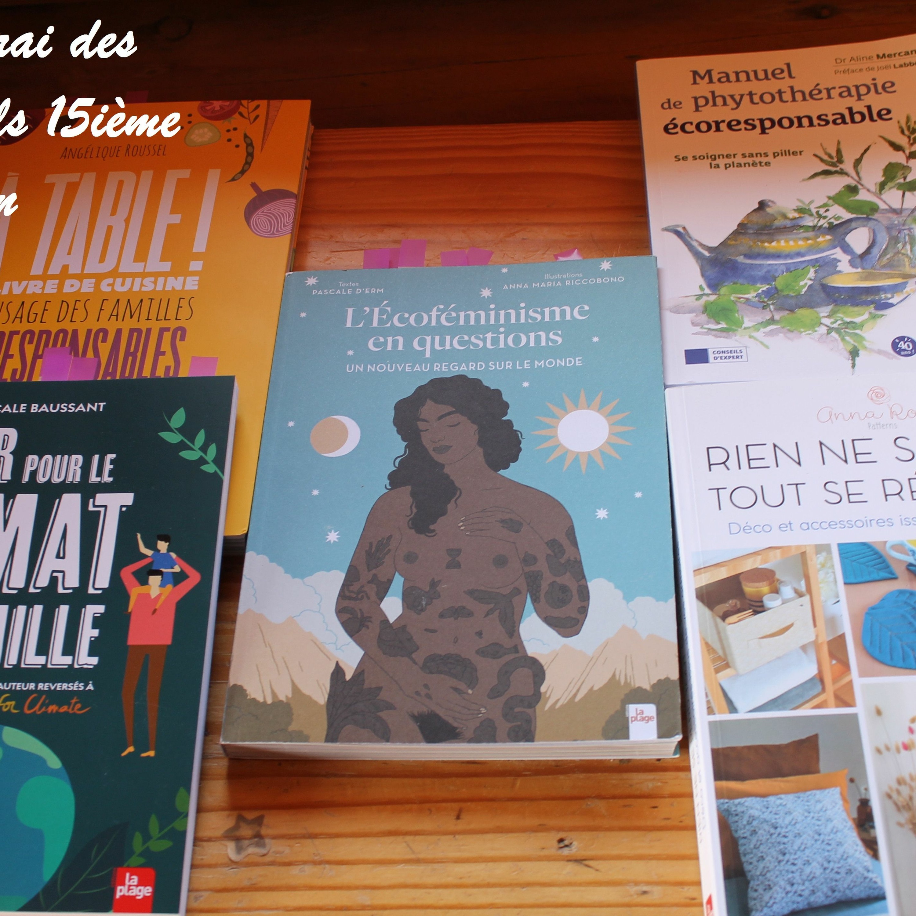 J'ecrirai Des Soleils 15