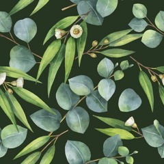 Eucalyptus 83BPM - LoFi Bbm