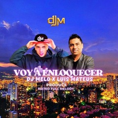 LUIS MATEUS DJ MELO  VOY A ENLOQUECER.mp3