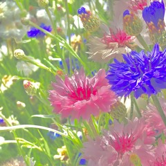 YOUR FLOWER IS IN THE MAGICAL WORLD
