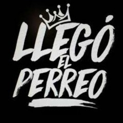 MINI-SET PERREO || MIXED BY ANDRAP DJ