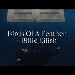 Billie Eilish - BIRDS OF A FEATHER (Dario Xavier Remix) *BUY FULL VOX WAV*