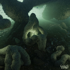 Archypness - "Abyss Bloom" (Inc. Estrato Aurora & K.O.P. 32 rmx) / OS04 Snippets