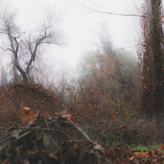 The Sleep That Dragged You Away