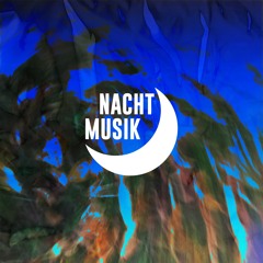 BCCO Premiere: Nilya - Rogue Planet [NACHTVA01]