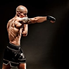 Punching Ball BABICZ Mas