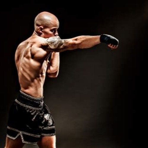 Punching Ball BABICZ Mas