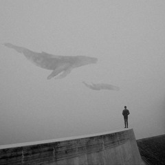 Litany For Whale And Door - Post Scriptum (John Cage)