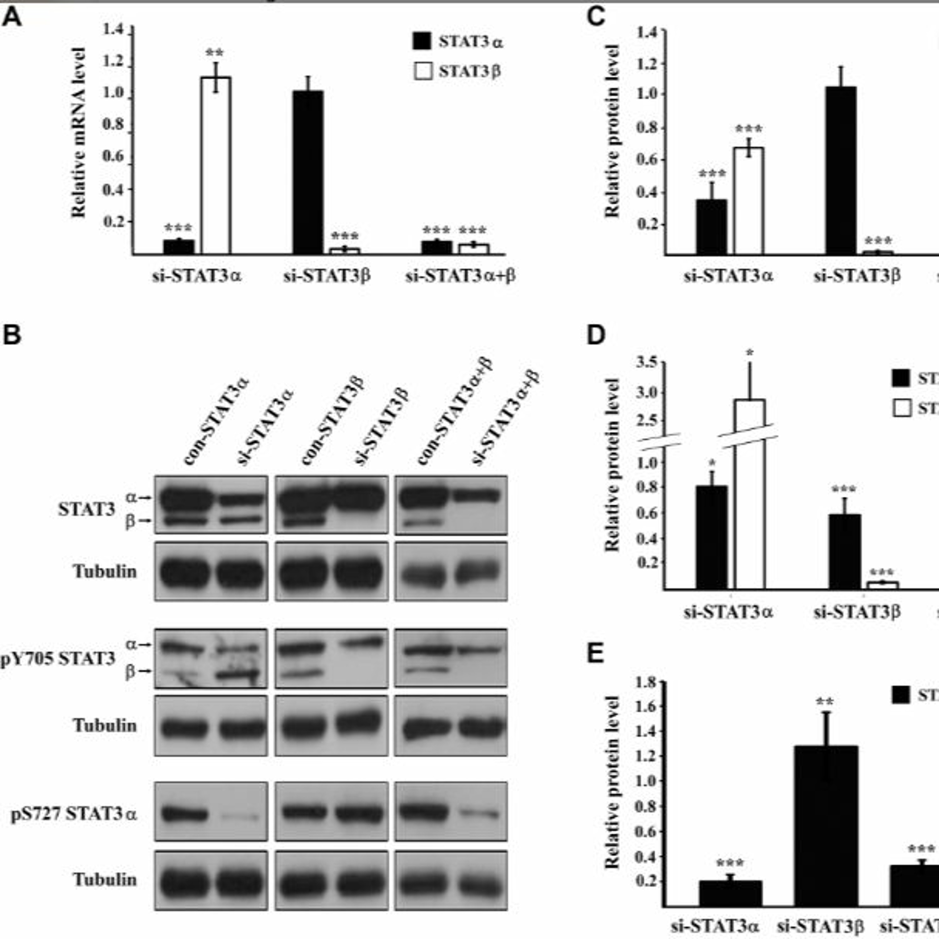 Oncotarget