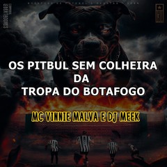 MC VINNIE MALVA - OS PITBUL SEM COLHEIRA DA TROPA DO BOTAFOGO [[ MEEK DA ESPANHA ]] 2024