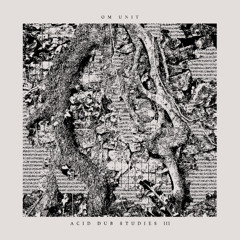 Acid Dub Studies III - Pre-order Preview
