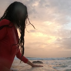 Back to the island