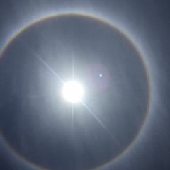 Lier-To my dearest mum,you are just a fucking lier