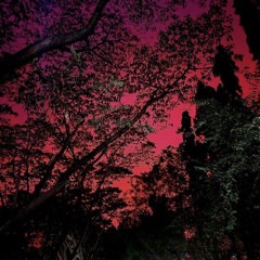 IN ROTATION (VOL.8)