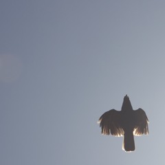 I schwäbe (prod. Merlin)