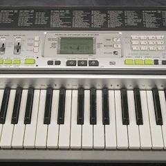 CASIO LK-200S - Down in the Valley