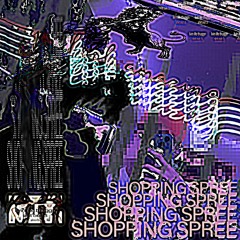 SHOPPING SPREE