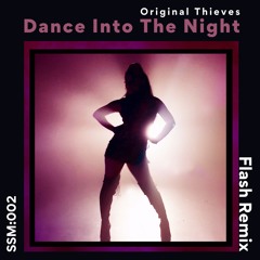 Dance Into The Night - Flash Remix (Radio Edit)