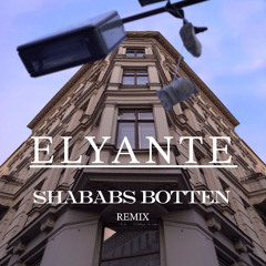 PASHANIM - SHABABS BOTTEN (ELYANTE REMIX) [FREE DL]
