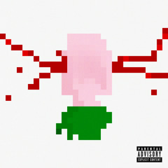 Babyxsosa V2 (prod. aiidenröse)