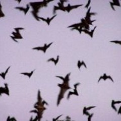 Duwap Kaine - Fuck Halloween (Prod By Duwap Kaine)