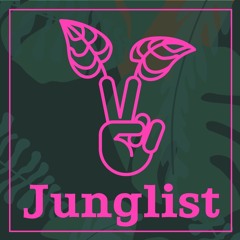 Jungle D&B Set