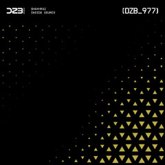 dZb 977 - SHAKHRAI - Inside Source (Original Mix).