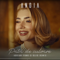 Pata de culoare (Adrian Funk X OLiX Remix)