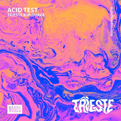 ACID TEST 13 w/ Trieste B2B Guava on Noods Radio  [22/08/20]