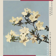 disco kitchen - gardens & villa