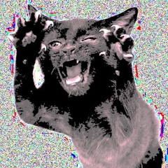 rock test1