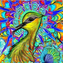 Kharagosh - Conversation With A Bird