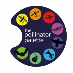 the Pollinator Palette