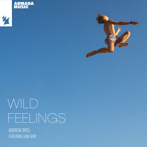 Andrew Rayel - Wild Feelings (feat. Sam Gray) [Polly Oxen Remix]