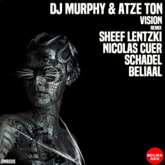 Dj Murphy, Atze Ton - Vision (Nicolas Cuer Remix)
