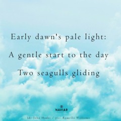 A gentle start to the day [naviarhaiku517]