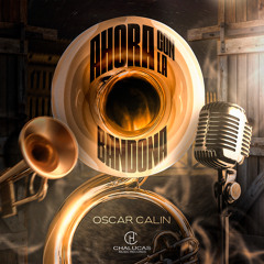 Román Iriarte (En Vivo)