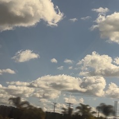 Cali Star Prod Yasket