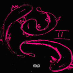 p!nk genesis