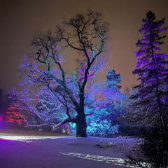 Midnight Journey