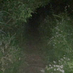 I'll Take What I Can Get Before I Forget I Still Want It [Demo]