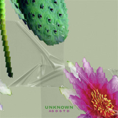 Unknown - AS D S T D (Original Mix)
